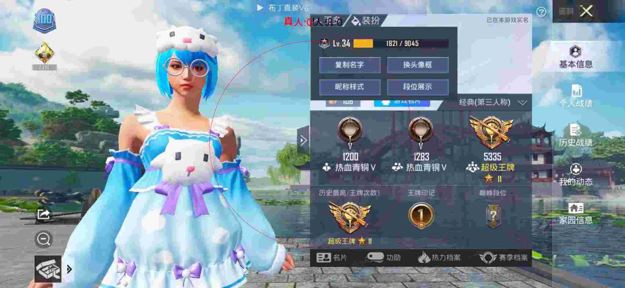和平精英布丁直装透视 - 和平精英-和平辅助图片手绘图辅助预览图